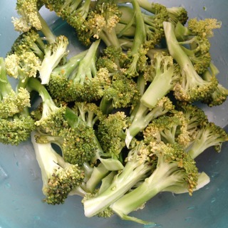 蒜蓉<a href=/shicai/shucai/XiLanHua/index.html target=_blank><u>西兰花</u></a>