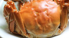 阳澄湖<a href=/shicai/shuichanpin/DaZhaXie/index.html target=_blank><u>大闸蟹</u></a>,阳澄湖<a href=/shicai/shuichanpin/DaZhaXie/index.html target=_blank><u>大闸蟹</u></a>的做法