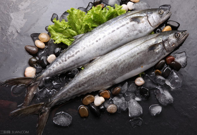 <a href=/shicai/shuichanpin/BoYu/index.html target=_blank><u>鲅鱼</u></a>不能和什么一起吃