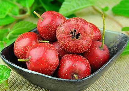 <a href=/shicai/guopin/ShanZha/index.html target=_blank><u>山楂</u></a>的做法