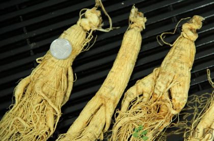 肾虚可以吃<a href=/shicai/shucai/RenSen/index.html target=_blank><u>人参</u></a>吗