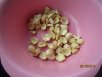 养生食谱大放送