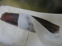 养生食谱大放送