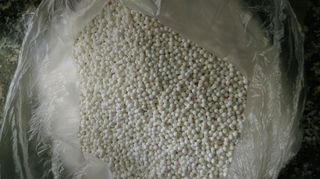 特小凤<a href=/shicai/mimian/XiMi/index.html target=_blank><u>西米</u></a>露