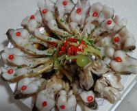 养生食谱大放送