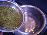 养生食谱大放送