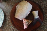 养生食谱大放送