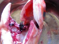 养生食谱大放送