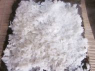 养生食谱大放送