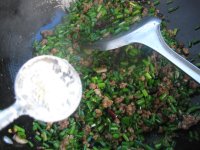 养生食谱大放送