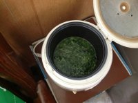 养生食谱大放送