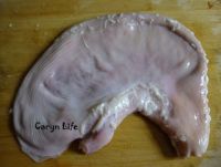 养生食谱大放送