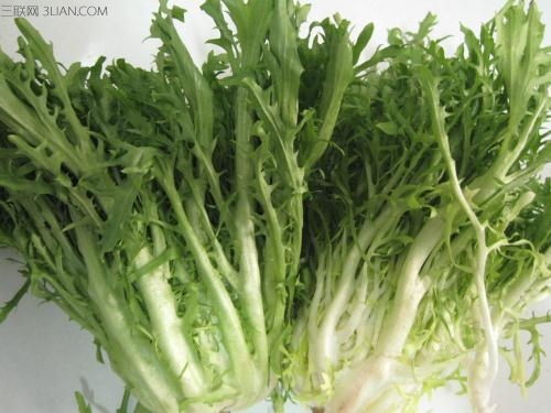 <a href=/shicai/shucai/KuJu/index.html target=_blank><u>苦菊</u></a>的营养价值