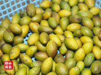 养生食谱大放送