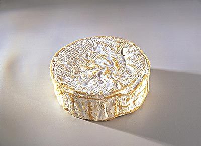 推荐！11种最牛的抗衰老食物