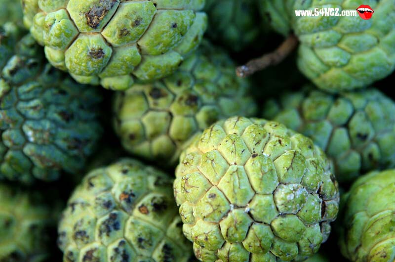 番<a href=/shicai/guopin/LiZhi/index.html target=_blank><u>荔枝</u></a>价格1