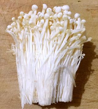 <a href=/shicai/rouqin/FeiNiu/index.html target=_blank><u>肥牛</u></a>金针菇香香卷