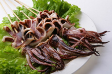 烤<a href=/shicai/shuichanpin/YouYu/index.html target=_blank><u>鱿鱼</u></a>,烤<a href=/shicai/shuichanpin/YouYu/index.html target=_blank><u>鱿鱼</u></a>的做法