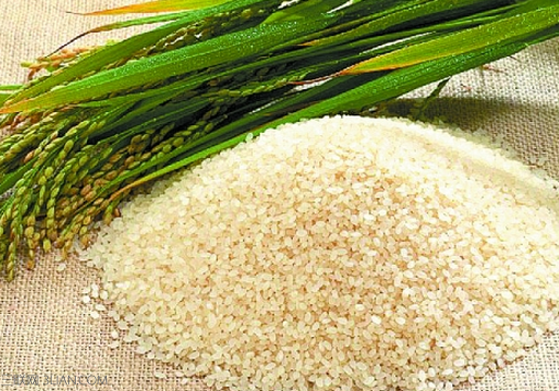 胚芽米的功效与作用