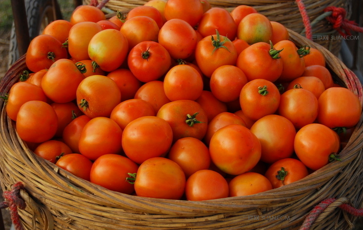 秋季男人如何吃对养生最好