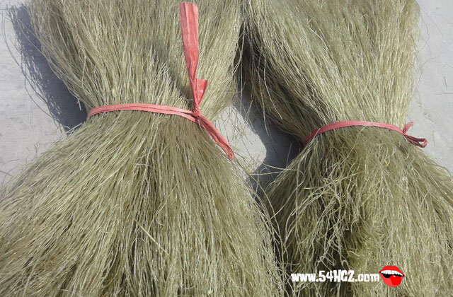 <a href=/shicai/shucai/HongShu/index.html target=_blank><u>红薯</u></a><a href=/shicai/mimian/FenTiao/index.html target=_blank><u>粉条</u></a>的价格2