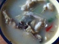 养生食谱大放送