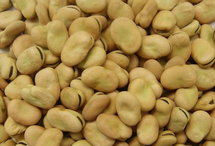 <a href=/shicai/shuichanpin/15533.html target=_blank><u>蟹黄</u></a><a href=/shicai/shucai/CanDou/index.html target=_blank><u>蚕豆</u></a>的做法及步骤