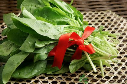 春天吃什么养肝