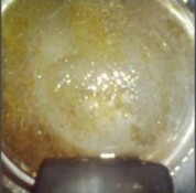 养生食谱大放送