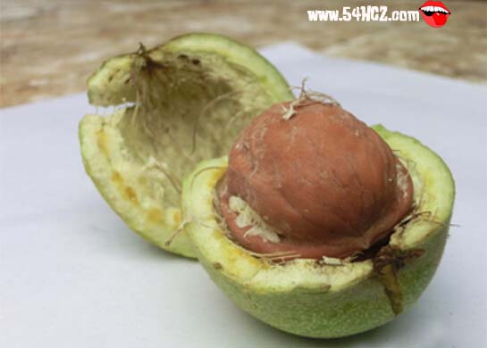 核<a href=/shicai/guopin/Tao/index.html target=_blank><u>桃</u></a>皮的功效与作用1