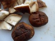 养生食谱大放送