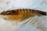 养生食谱大放送