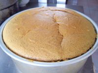 养生食谱大放送