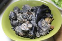 养生食谱大放送