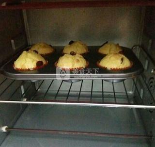 <a href=/shicai/guopin/ManYueMei/index.html target=_blank><u>蔓越莓</u></a>玛芬