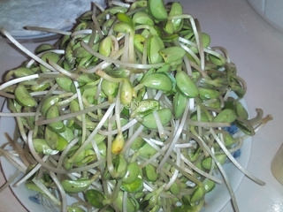 干煸<a href=/shicai/mimian/QingDou/index.html target=_blank><u>青豆</u></a>芽