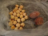 养生食谱大放送