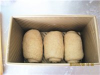 养生食谱大放送