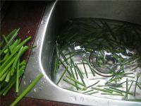 养生食谱大放送