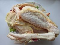 养生食谱大放送