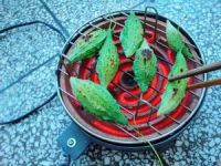 养生食谱大放送