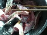 养生食谱大放送