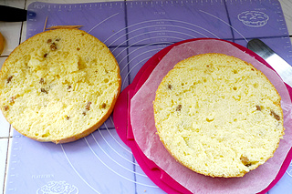 水果<a href=/shicai/mimian/NaiYou/index.html target=_blank><u>奶油</u></a>蛋糕