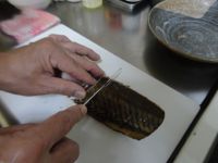 养生食谱大放送