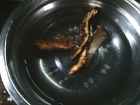 养生食谱大放送