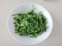 养生食谱大放送