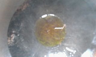 <a href=/shicai/shucai/SiJiDou/index.html target=_blank><u>四季豆</u></a>炒肉