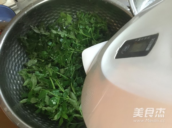 凉拌花椒芽的做法