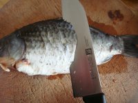 养生食谱大放送