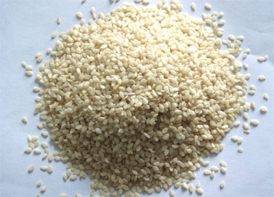 <a href=/shicai/guopin/ZhiMa/index.html target=_blank><u>芝麻</u></a>不能跟什么同吃